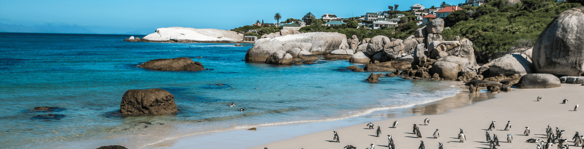 �frica do Sul Inesquec�vel